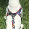Your leash attaches to 2 rings on back of harness.