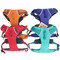Front Ring Dog Harness in 4 color options