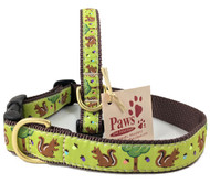 Nuts for Squirrel Dog Collar made in USA
