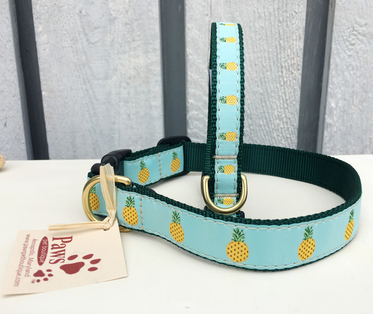 pineapple dog collar