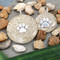 Silver Paw Charms with Sand