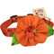 Fall Dog Collar with Detachable Flower