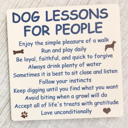 Dog Lessons for People Coaster