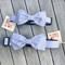 Blue striped bow tie dog collars