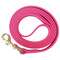 Biothane Waterproof Dog Leash
(pink is more vibrant in person)
