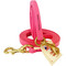 Hot Pink Leash in 1/2" or 3/4" widths
(color is more vibrant in person)