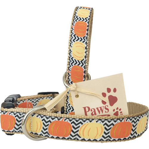 Fall Pumpkin Dog Collars made in USA