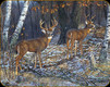 River's Edge - Deer - Tempered Glass Cutting Board - 12"x16" - 796