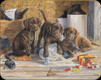 River's Edge - Puppies - Tempered Glass Cutting Board - 12"x16" - 796