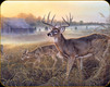 River's Edge - Deer - Tempered Glass Cutting Board - 12"x16" - 786C 