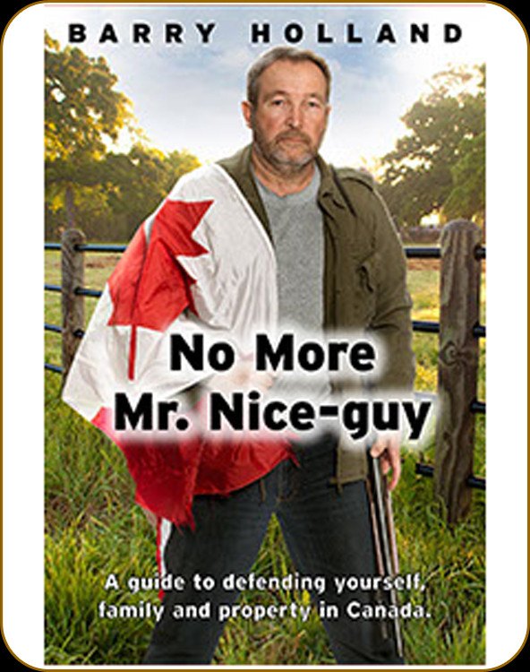 book mr nice guy