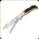 Fox Knives - Multi Hunter Optima Saw 500/2SCE - 3.3" Blade - N690 - Brown Stag Handle - 01FX182
