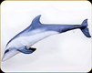 Gaby - Bottlenose Dolphin Pillow - Mini - 21" - GP-175495