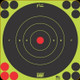Pro-Shot Products - 6" SplatterShot Green Bullseye - 60pk - 6B-GREEN-60PK