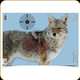 Birchwood Casey - Pregame Reactive Target - Coyote - 16.5"x24" - 3pk - 35405