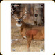 Birchwood Casey - Pregame Target - Whitetail Deer - 16.5" x 24" - 3ct - BC-35401