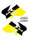 Suzuki MJR Series Non Custom Shroud Decals.