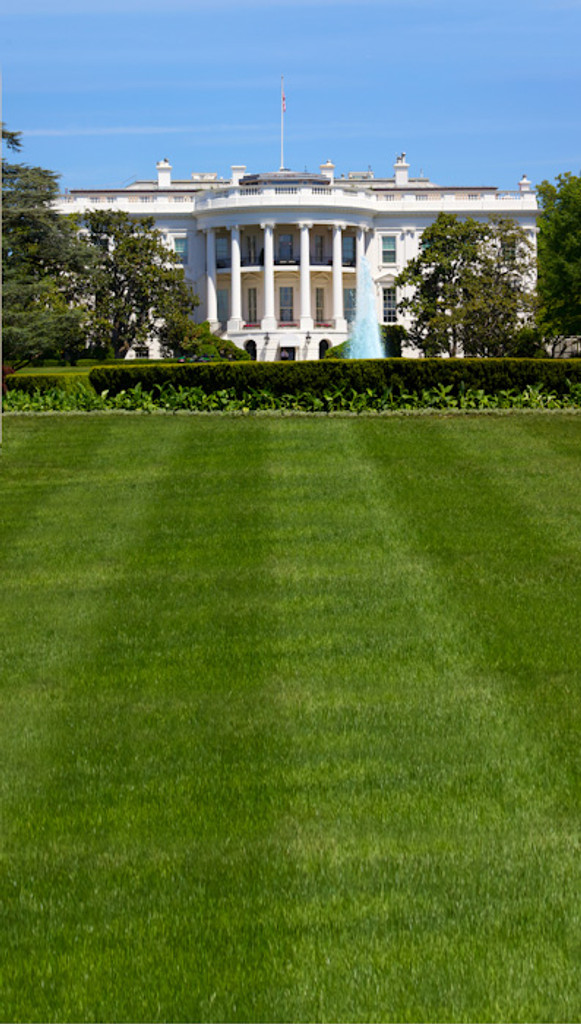 The White House Backdrop Photo Pie