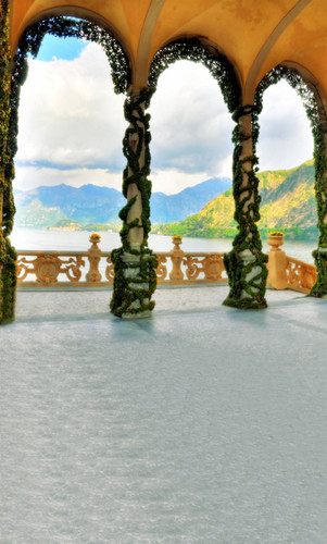 Lake Villa Backdrop