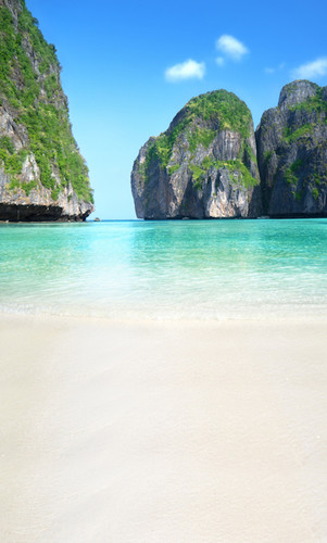 Halong Bay Backdrop