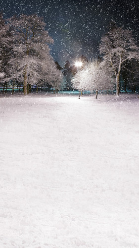 Winter Park Backdrop
