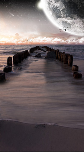 Seaside Mystique Backdrop