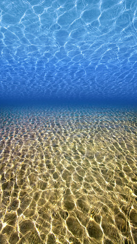 Ocean Bottom Backdrop