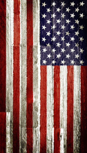 Patriotic Planks Backdrop