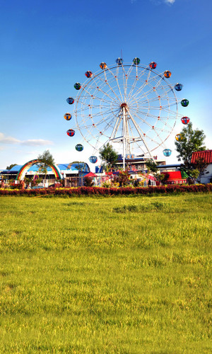 Ferris Wheel Backdrop