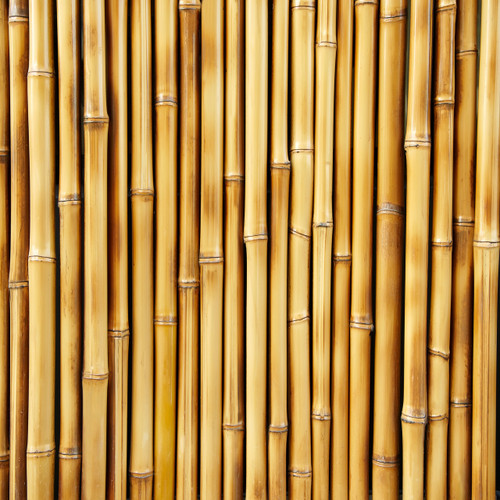 Bamboo Plank Floor