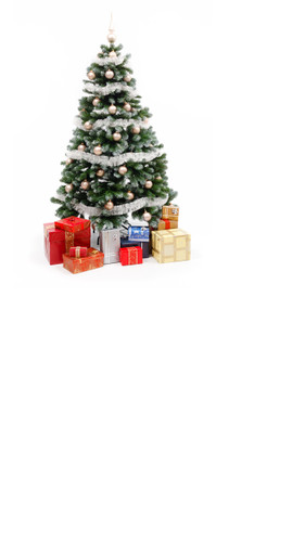 Presents Under The Tree Backdrop
