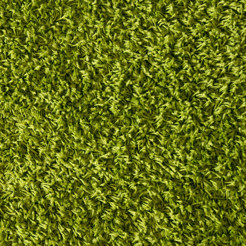 Green Shag Floor