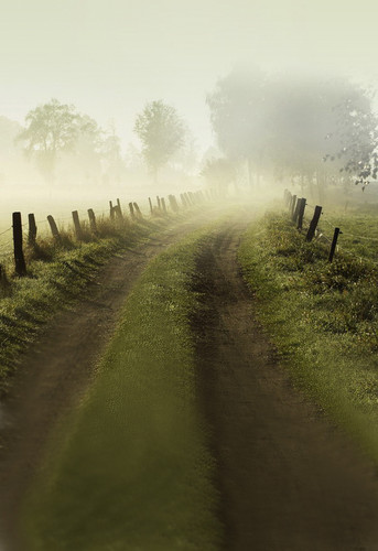 Foggy Road Backdrop