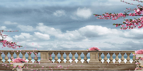 Cherry Blossom Balcony Wide Format