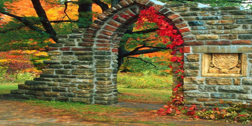 Autumn Relic Wide Format