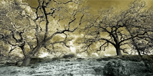 Apocalypse Wide Format