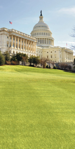 Capitol Hill Backdrop