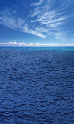 Infinite Sea Backdrop