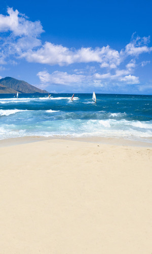 Parasailing Backdrop