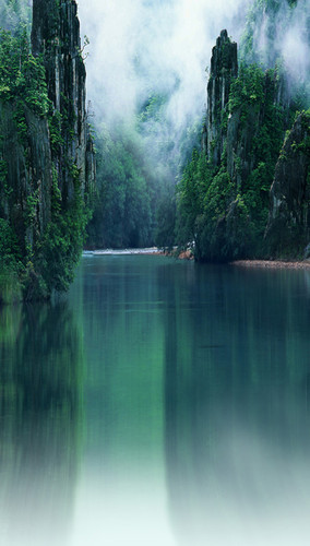 Misty River Backdrop