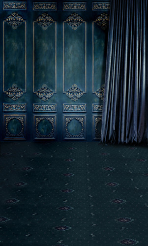 Midnight Room Backdrop