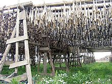 stockfish_drying_in_iceland.jpg