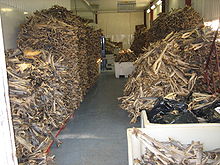stockfish_warehouse_norway.jpg