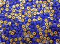 Millefiori Blue Flowers 7-8mm