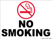 9 x 12" No Smoking Decal