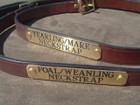  Leather Neck Strap with Engraved Nameplate Weanling/Foal Size