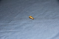 Pack of 2 Steam tube connectors.