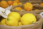 lemon balsamic vinergar