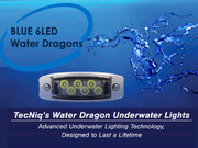 Water Dragon Underwater Light 6 LED BLUE