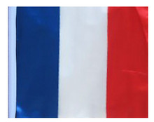 FRANCE SSP Motorcycle Flag with Sissybar or Trunk Style Pole